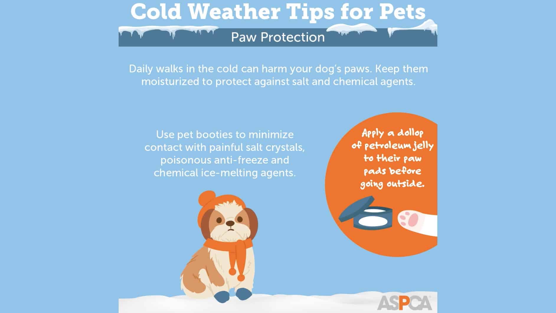 aspca-winter-weather-pet-safety-coffee-with-america